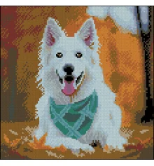 Алмазная картина Собака с платком 30х30 (FZ3030-01) купить в интернет магазине подарков ПраздникШоп