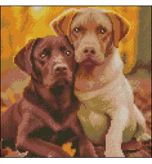 Алмазная картина Лабрадоры 30х30 (FZ3030-04) купить в интернет магазине подарков ПраздникШоп