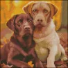 Алмазная картина Лабрадоры 30х30 (FZ3030-04)