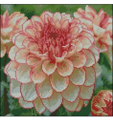 Алмазная картина Яркий георгин 30х30 (FZ3030-08) купить в интернет магазине подарков ПраздникШоп