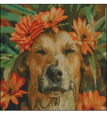 Алмазная картина Счастливый пес 30х30 (FZ3030-09) купить в интернет магазине подарков ПраздникШоп