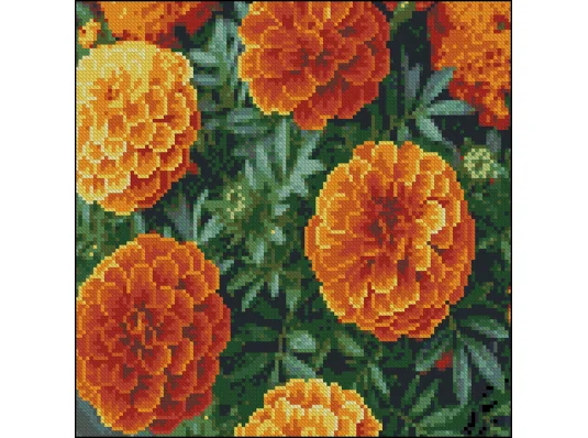 Алмазная картина Пышные бархатцы 30х30 (FZ3030-34) купить в интернет магазине подарков ПраздникШоп