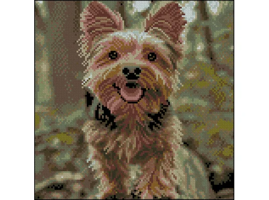 Алмазная картина Веселый йорк 30х30 (FZ3030-39) купить в интернет магазине подарков ПраздникШоп