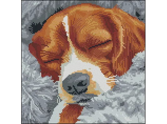 Алмазная картина Спящий пес 30х30 (FZ3030-40) купить в интернет магазине подарков ПраздникШоп