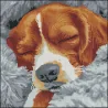 Алмазная картина Спящий пес 30х30 (FZ3030-40)