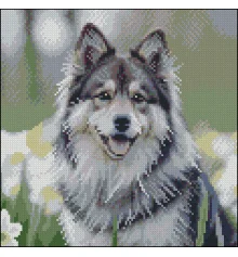 Алмазная картина Хаски в цветах 30х30 (FZ3030-44) купить в интернет магазине подарков ПраздникШоп