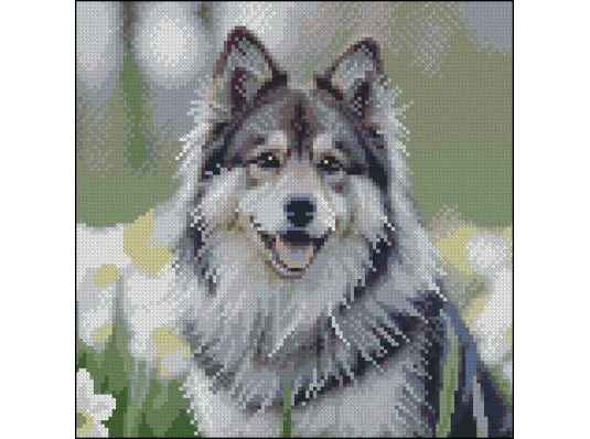 Алмазная картина Хаски в цветах 30х30 (FZ3030-44) купить в интернет магазине подарков ПраздникШоп