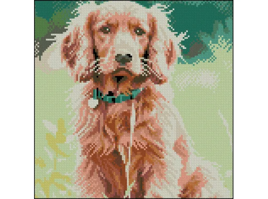 Алмазная картина Золотистый спаниель 30х30 (FZ3030-45) купить в интернет магазине подарков ПраздникШоп