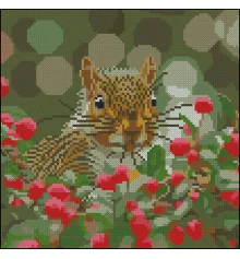 Алмазная картина Белка среди ягод 30х30 (YZ3030-06) купить в интернет магазине подарков ПраздникШоп