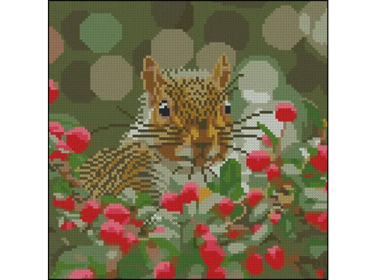 Алмазная картина Белка среди ягод 30х30 (YZ3030-06) купить в интернет магазине подарков ПраздникШоп