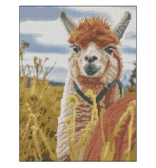 Алмазная картина Лама в горах 30х40 (FZ3040-01) купить в интернет магазине подарков ПраздникШоп