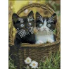 Алмазная картина Котята в корзине 30х40 (FZ3040-06)