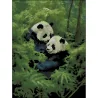 Алмазная картина Панды в лесу 30х40 (FZ3040-08)