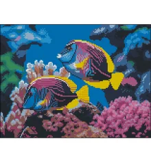 Алмазная картина Коралловые рыбки 30х40 (FZ3040-18) купить в интернет магазине подарков ПраздникШоп
