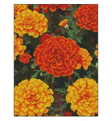 Алмазная картина Огненные бархатцы 30х40 (FZ3040-24) купить в интернет магазине подарков ПраздникШоп