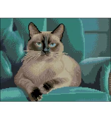 Алмазная картина Сиамская кошка 30х40 (FZ3040-30) купить в интернет магазине подарков ПраздникШоп