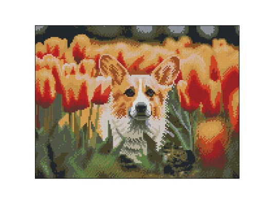 Алмазная картина Корги в тюльпанах 30х40 (FZ3040-31) купить в интернет магазине подарков ПраздникШоп
