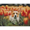 Алмазная картина Корги в тюльпанах 30х40 (FZ3040-31)