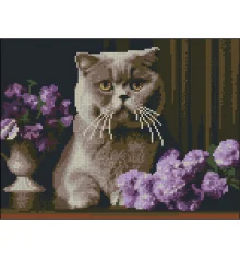 Алмазная картина Серый кот 30х40 (ZAV3040-60) купить в интернет магазине подарков ПраздникШоп