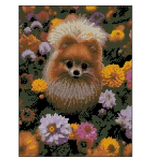 Алмазная картина Шпиц в цветах 30х40 (ZAV3040-61) купить в интернет магазине подарков ПраздникШоп