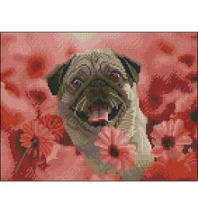 Алмазная картина Счастливый мопс 30х40 (ZAV3040-62) купить в интернет магазине подарков ПраздникШоп