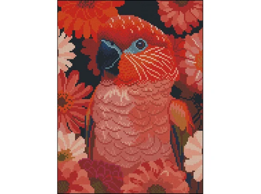 Алмазная картина Красный ара 30х40 (ZAV3040-64) купить в интернет магазине подарков ПраздникШоп