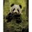 Алмазная картина Пушистая панда 40х50 (ZAV4050-48) купить в интернет магазине подарков ПраздникШоп
