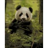 Алмазная картина Пушистая панда 40х50 (ZAV4050-48)