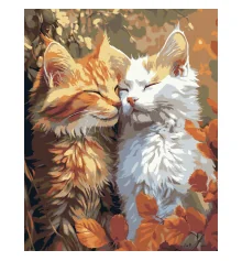 Картина по номерам Белый и рыжий кот 40Х50 (VG026) купить в интернет магазине подарков ПраздникШоп