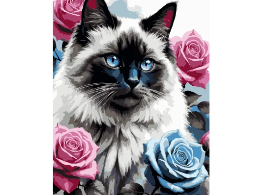Картина по номерам Кот с голубыми глазами 40Х50 (VG030) купить в интернет магазине подарков ПраздникШоп