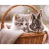 Картина по номерам Котенок с кроликом 40Х50 (VG031)