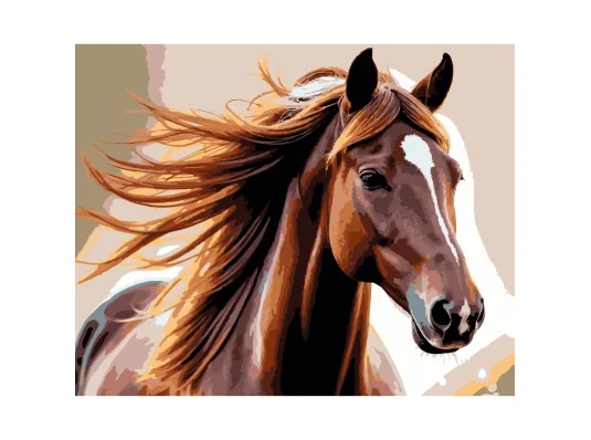 Картина по номерам Лошадь на ветру 40х50 (VG040) купить в интернет магазине подарков ПраздникШоп