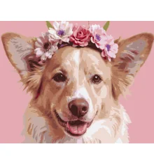 Картина по номерам Улыбающийся пес 40Х50 (VG042) купить в интернет магазине подарков ПраздникШоп