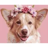 Картина по номерам Улыбающийся пес 40Х50 (VG042)