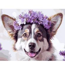 Картина по номерам Пес с цветами 40Х50 (VG045) купить в интернет магазине подарков ПраздникШоп
