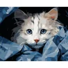 Картина по номерам Голубоглазый котенок 40Х50 (VG050)