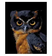 Картина по номерам Вид ночи на черном фоне 40х50 (AH1269) купить в интернет магазине подарков ПраздникШоп