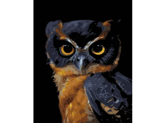 Картина по номерам Вид ночи на черном фоне 40х50 (AH1269) купить в интернет магазине подарков ПраздникШоп