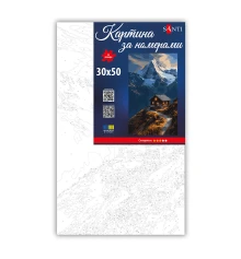 Картина по номерам SANTI Домик в горах 30х50 см купить в интернет магазине подарков ПраздникШоп