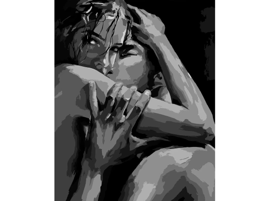 Картина по номерам SANTI Страсть 40х50 см купить в интернет магазине подарков ПраздникШоп