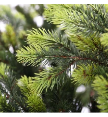 Елка искуственная Yes! Fun h-1 купить в интернет магазине подарков ПраздникШоп