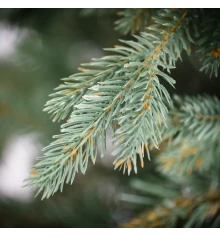 Елка искуственная ТМ Yes! Fun литая СИТХИНСКАЯ голубая h-1 купить в интернет магазине подарков ПраздникШоп