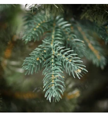 Елка искуственная Yes! Fun h-2 купить в интернет магазине подарков ПраздникШоп