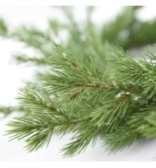 Венок Yes! Fun "Сиена" купить в интернет магазине подарков ПраздникШоп