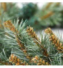 Венок Yes!Fun Буковель купить в интернет магазине подарков ПраздникШоп