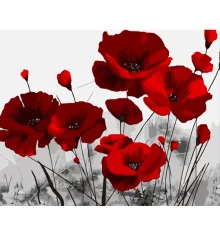 Картина по номерам ПРЕМИУМ Яркие маки с лаком и с уровнем размером 40х50 см (DY410) купить в интернет магазине подарков ПраздникШоп
