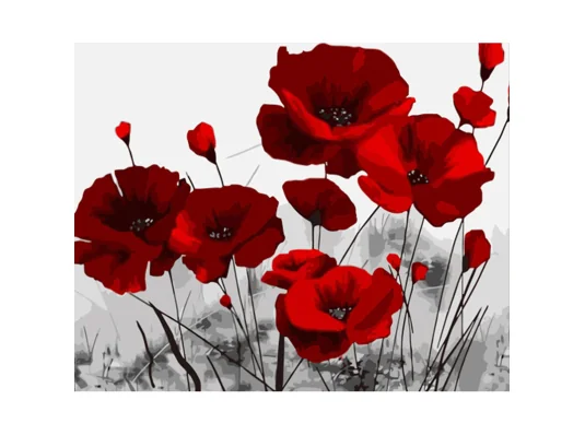 Картина по номерам ПРЕМИУМ Яркие маки с лаком и с уровнем размером 40х50 см (DY410) купить в интернет магазине подарков ПраздникШоп