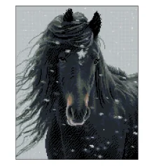 Алмазная картина Черный конь 40х50 (ZAV4050-46) купить в интернет магазине подарков ПраздникШоп
