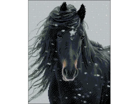 Алмазная картина Черный конь 40х50 (ZAV4050-46) купить в интернет магазине подарков ПраздникШоп