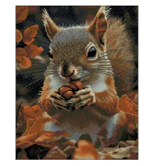 Алмазная картина Осенняя белка 40х50 (ZAV4050-52) купить в интернет магазине подарков ПраздникШоп